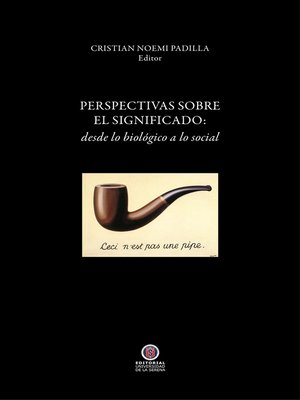 cover image of Perspectivas sobre el significado